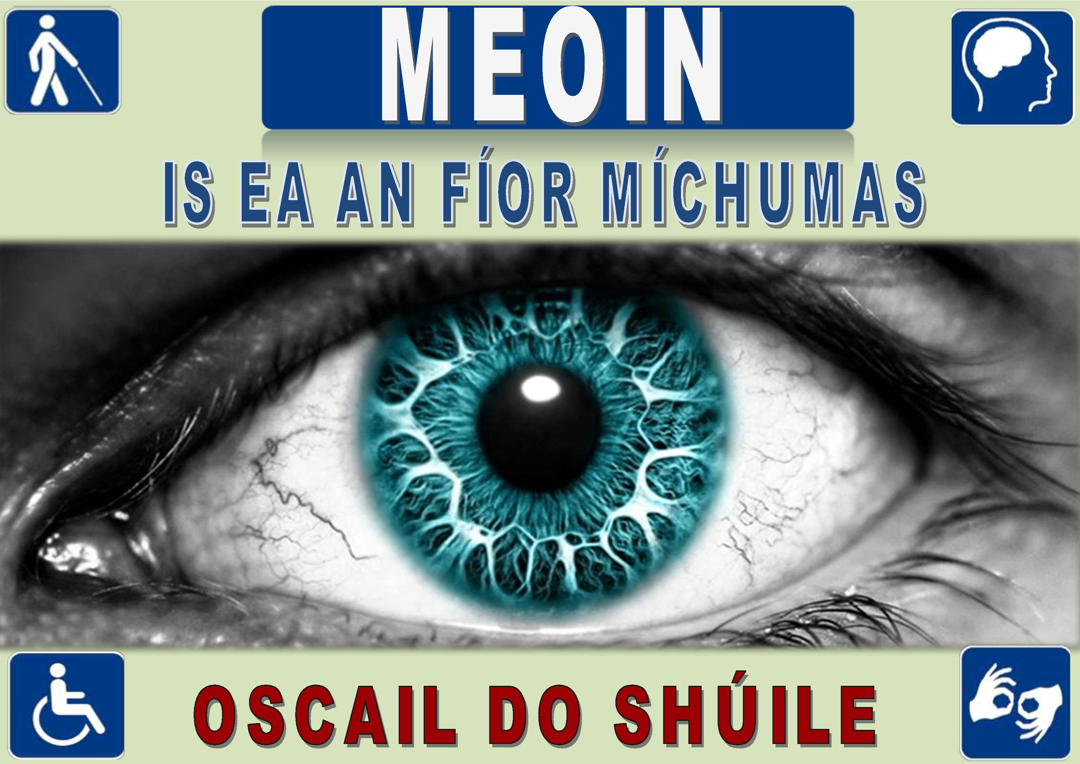 Access - Winning Poster 2012 (Irish)